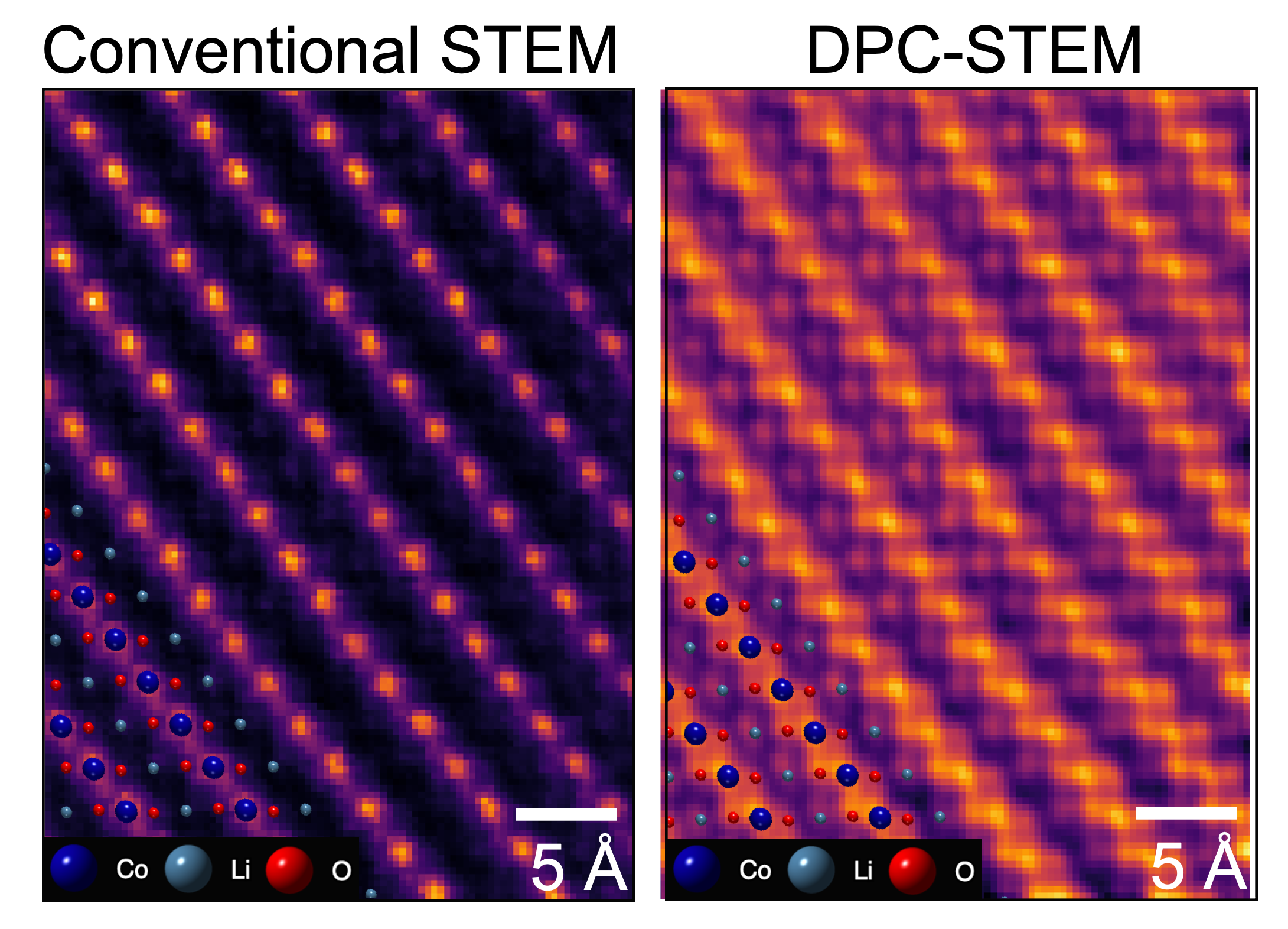 M.J. Zachman et al., ACS Nano 16, 1358 (2022)